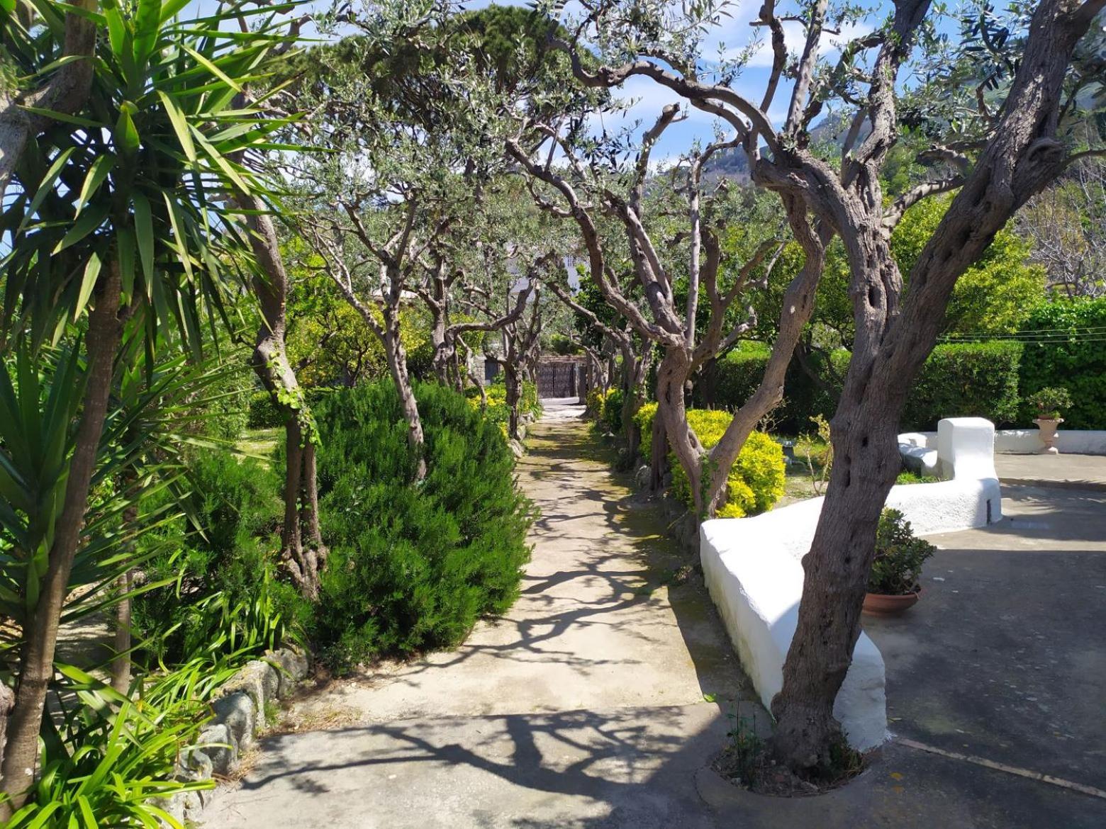 Villa Ravino Secret Retreat Forio di Ischia Εξωτερικό φωτογραφία