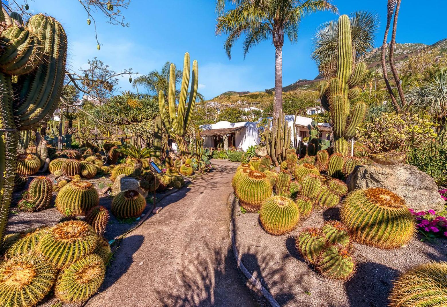 Villa Ravino Secret Retreat Forio di Ischia Εξωτερικό φωτογραφία