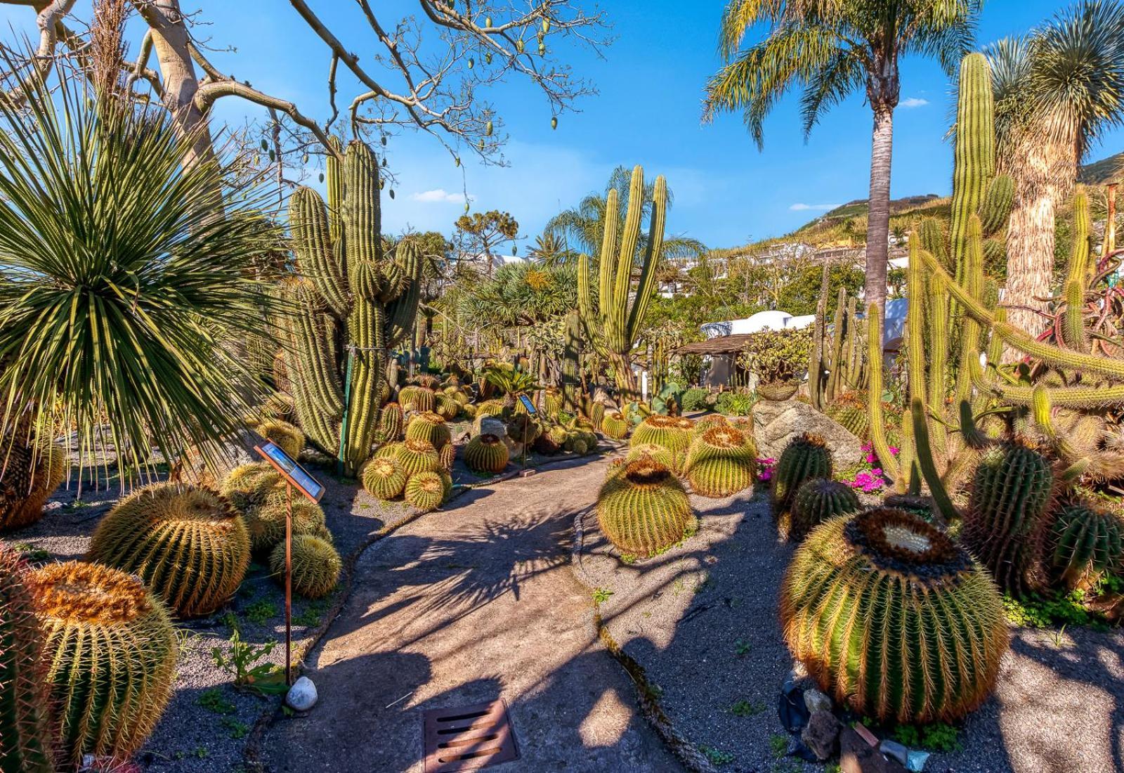 Villa Ravino Secret Retreat Forio di Ischia Εξωτερικό φωτογραφία