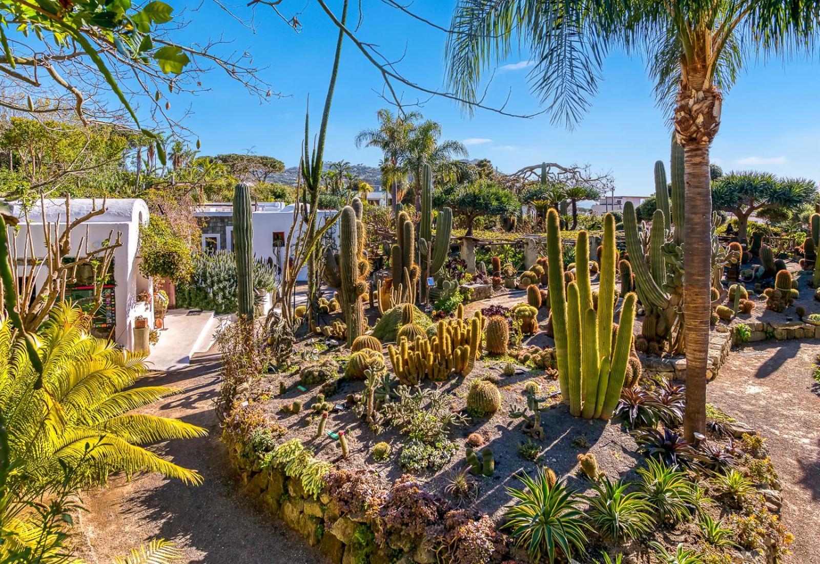 Villa Ravino Secret Retreat Forio di Ischia Εξωτερικό φωτογραφία